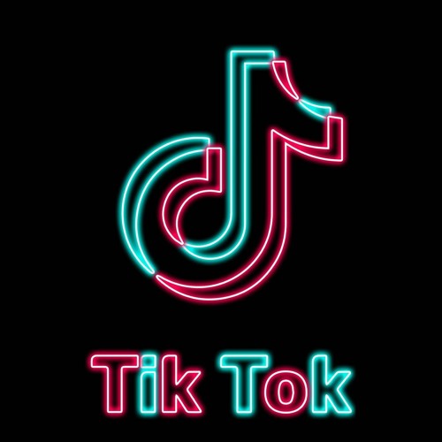 TikTok Followers